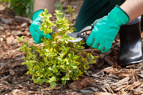 Gardening Soho team inspecting a client's garden before work begins
