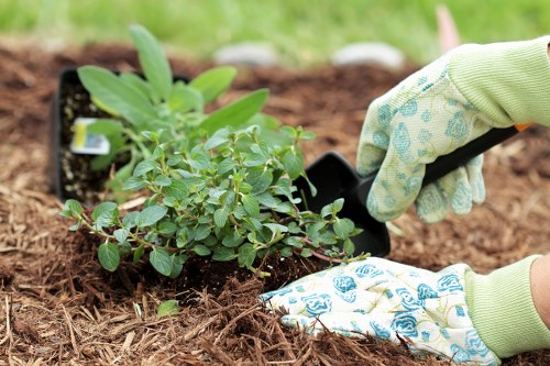 Person using a screen reader to access gardening resources on a laptop