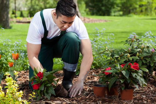 Community gardener handing printed information in large type to a visitor